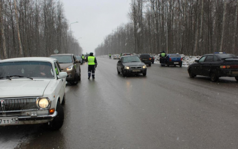В Мордовии поймали 20 нетрезвых водителей