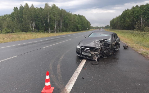 Водитель из Мордовии попал в серьезное ДТП под Рязанью