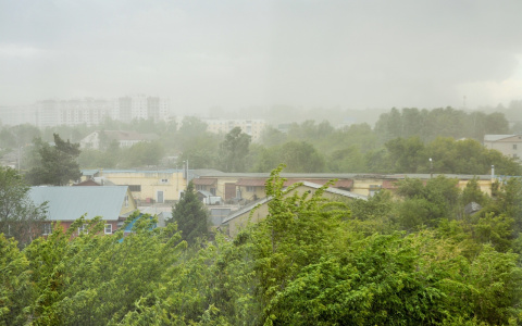 В Мордовии объявлено штормовое предупреждение из-за сильного ветра