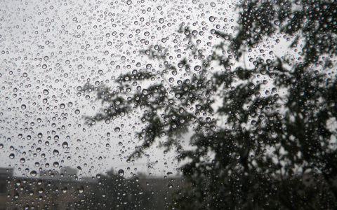 Дождь и сильный ветер. Прогноз погоды в Саранске на 5 августа