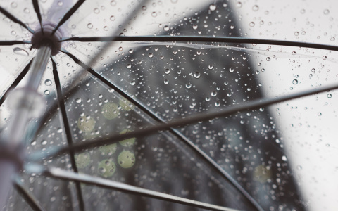 Дождь и ветер. Прогноз погоды в Саранске на 17 августа