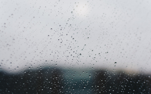 Сильный ветер и дождь: Прогноз погоды в Саранске на 28 октября
