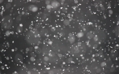 Ветер и мокрый снег: Прогноз погоды в Саранске на 31 октября