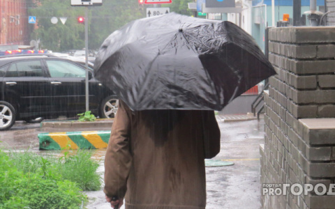 Синоптики рассказали о погоде в Саранске 26 апреля