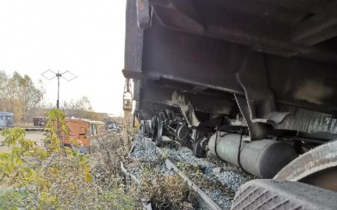 Вагон грузового поезда сошел с рельсов в Мордовии