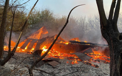 Заподозрили халатность: Следком устанавливает причину крупного пожара в Торбеевском районе