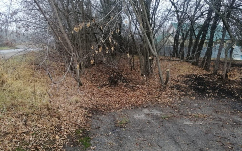 В Мордовии водитель «ВАЗа» съехал в кювет и врезался в дерево