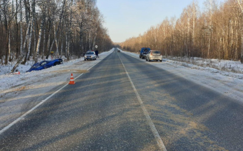 На трассе в Мордовии иномарка съехала в кювет: пострадали двое