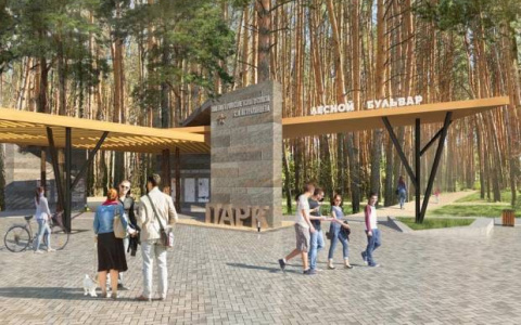 Глава Темниковского района Мордовии предложил подзаработать на благоустройстве парка